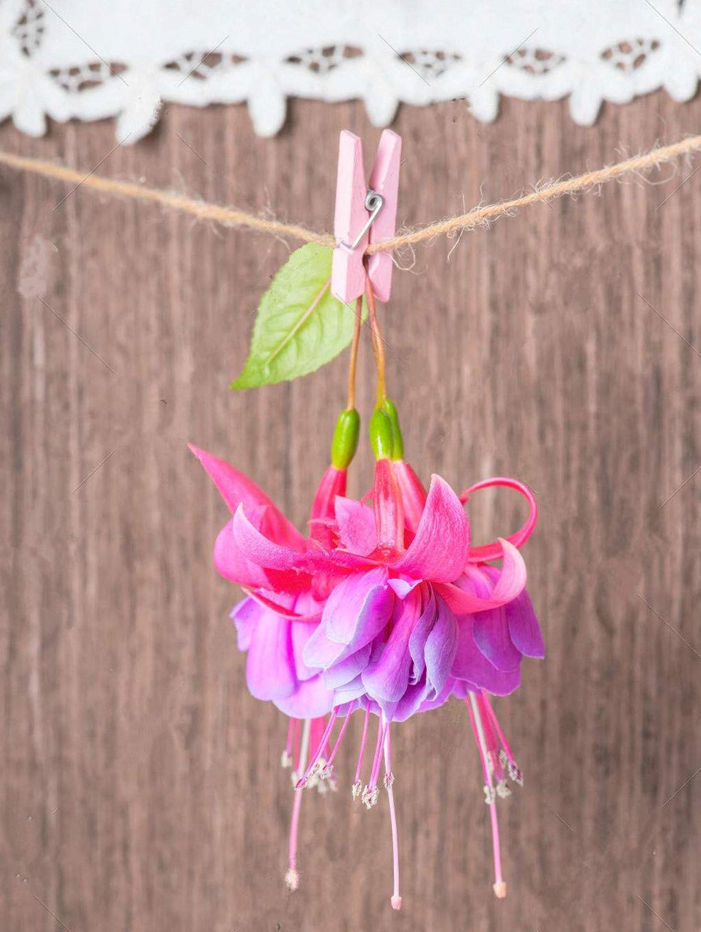 Tiny Clothes Pins Colorful Hang Up Photographs Drawings Party Clips Decor Baby Shower Game With Twine Pack 50 Pink