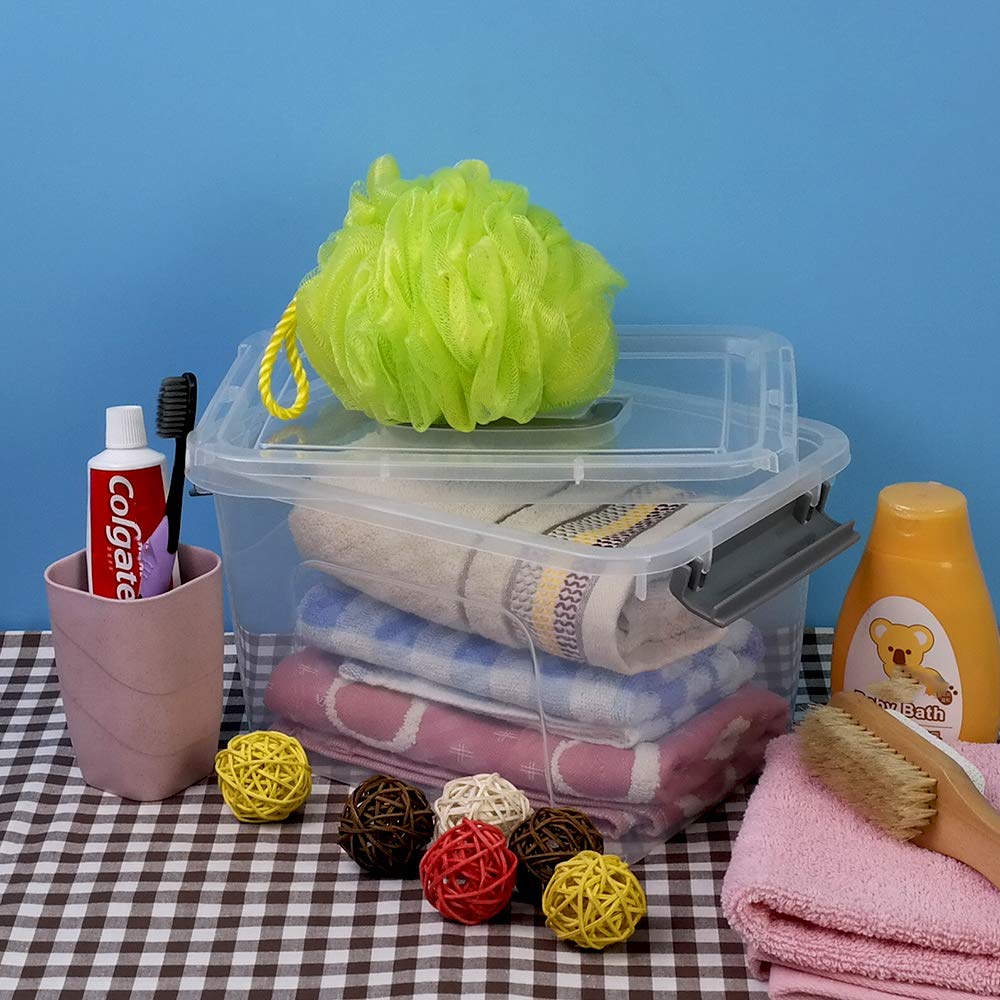 6 Pack 5 L Clear Plastic Storage Box (4 Count)