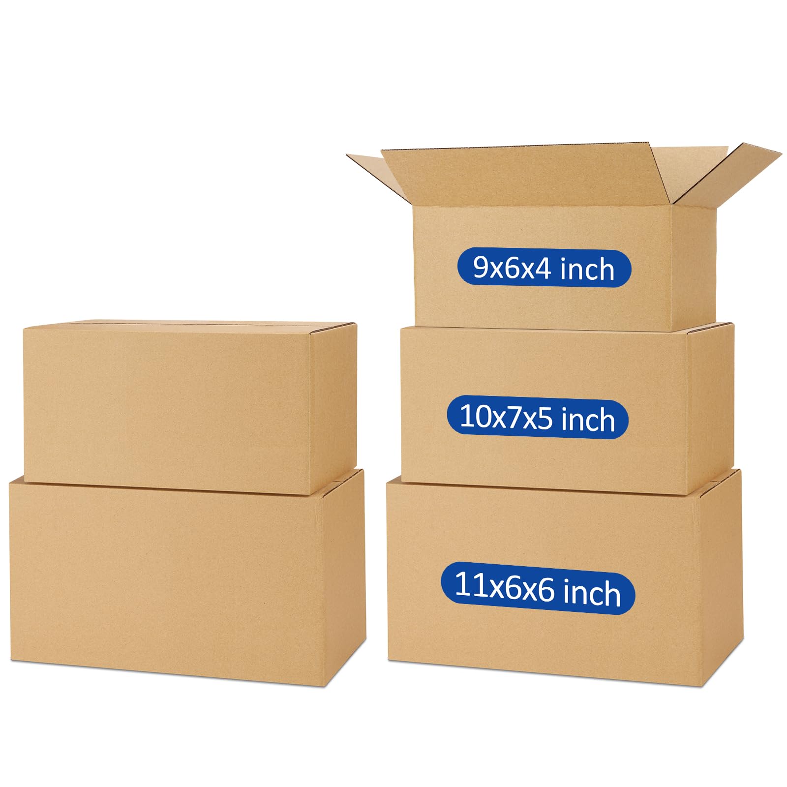 Assorted Sizes (45 Count)