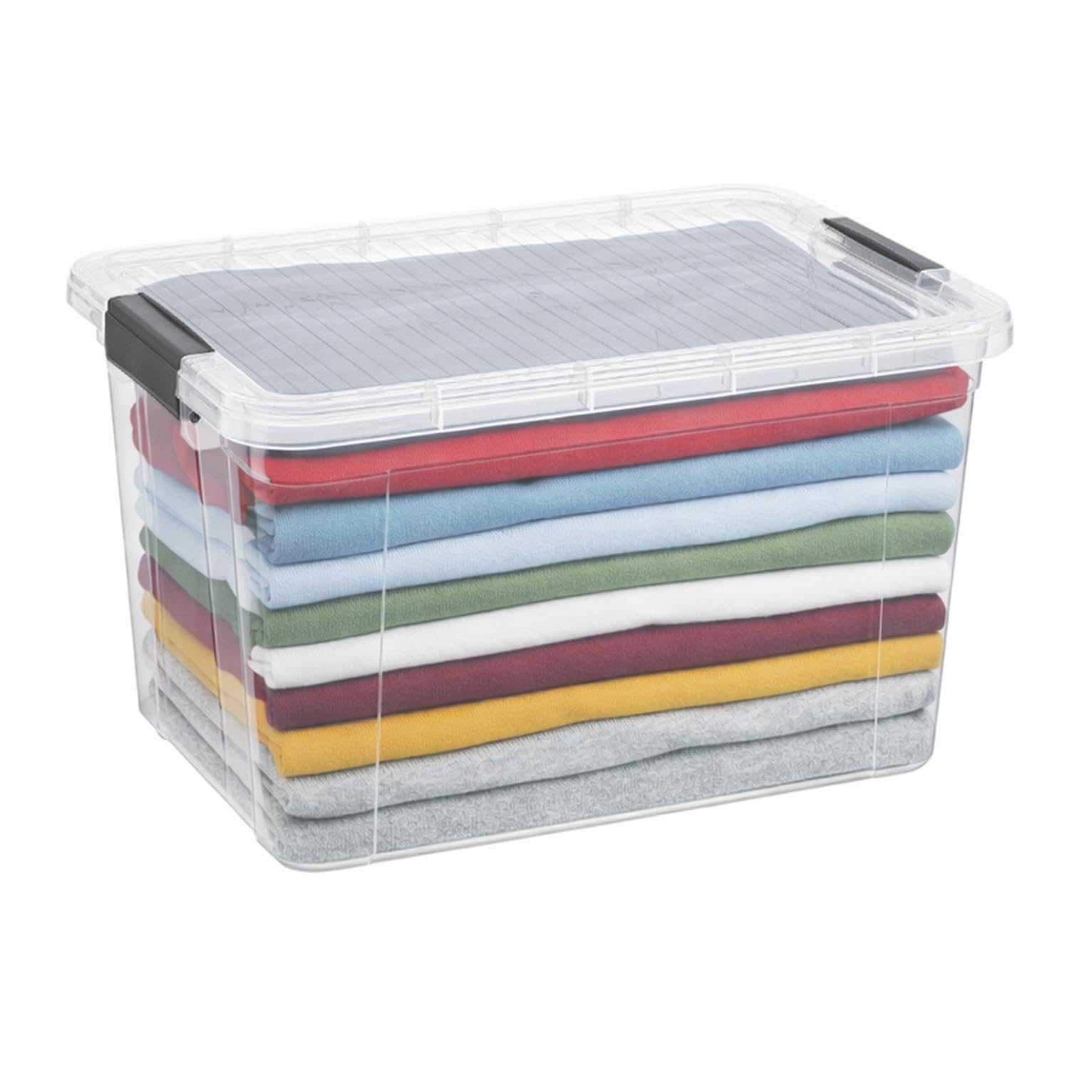 Clear Storage Box with Lid