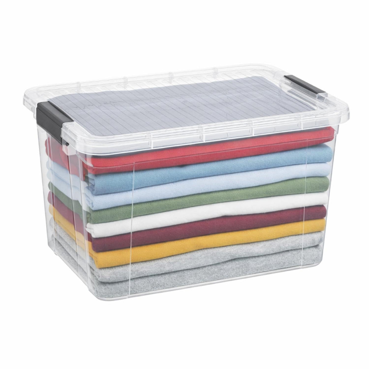 Clear Storage Box with Lid