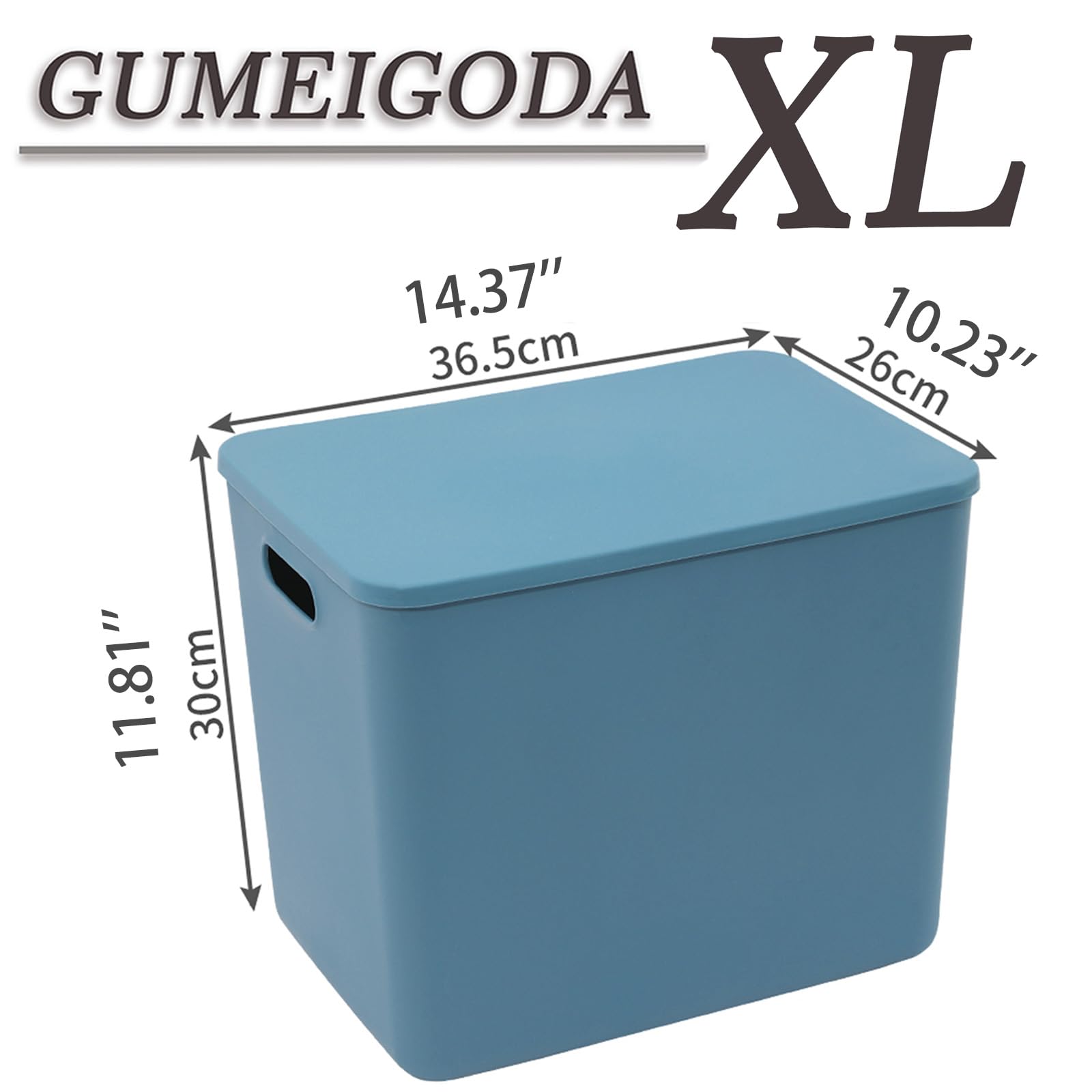 Plastic Storage Bins with lids (4 Count)