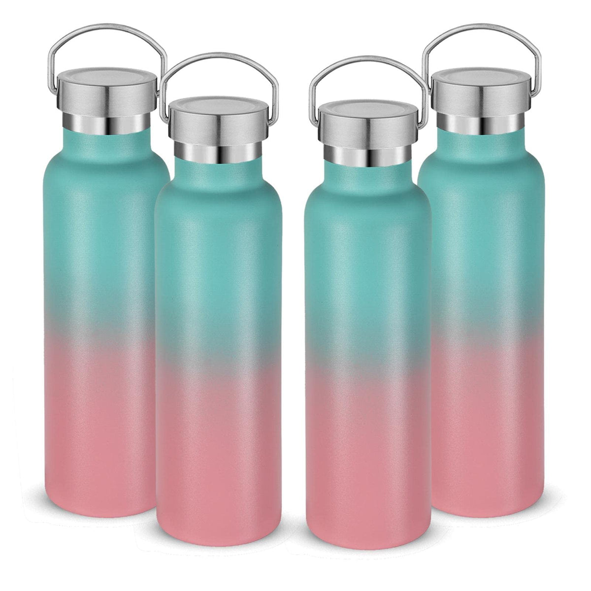 20 oz Insulated Water Bottles Bulk 4 Pack (4 Count)