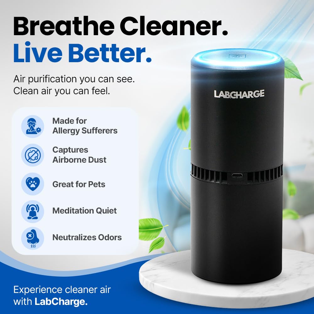 LabCharge Small Ionic Air Purifier for Home & Bedroom (5 Count)
