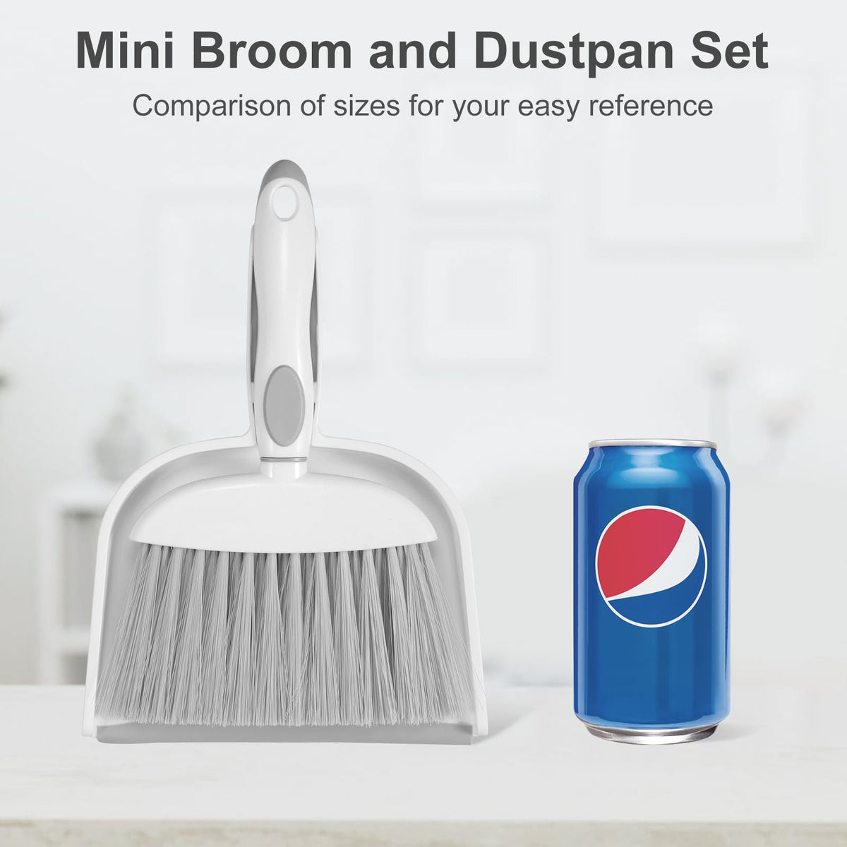 Small Dust Pan and Brush Set