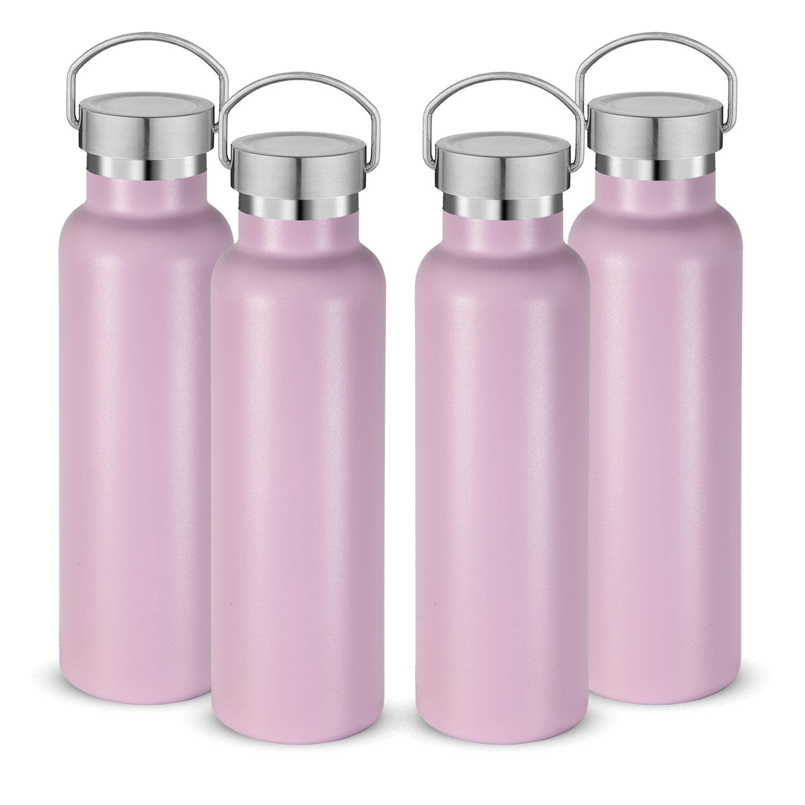 20 oz Insulated Water Bottles Bulk 4 Pack (4 Count)