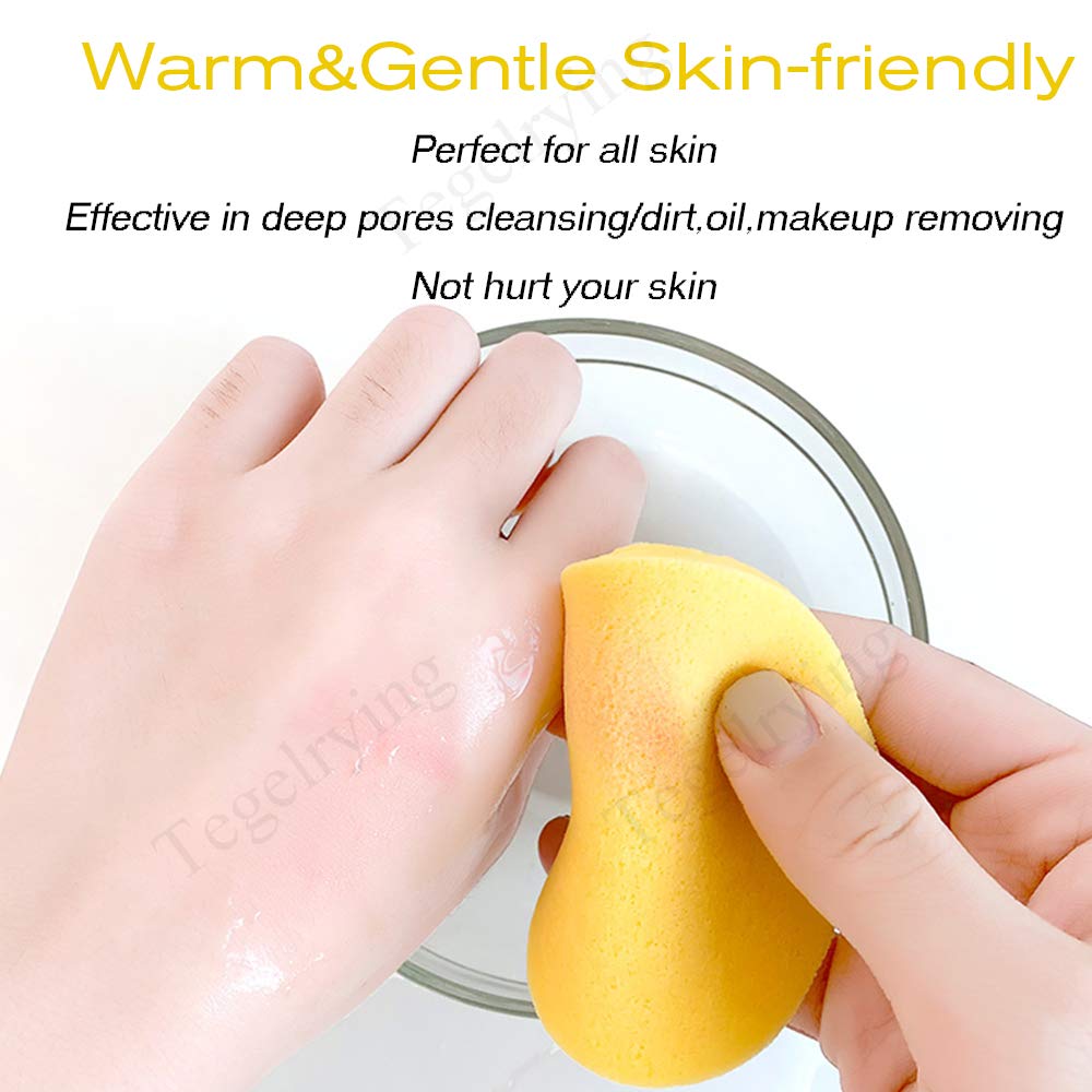 Facial Sponge Compressed (60 Count)