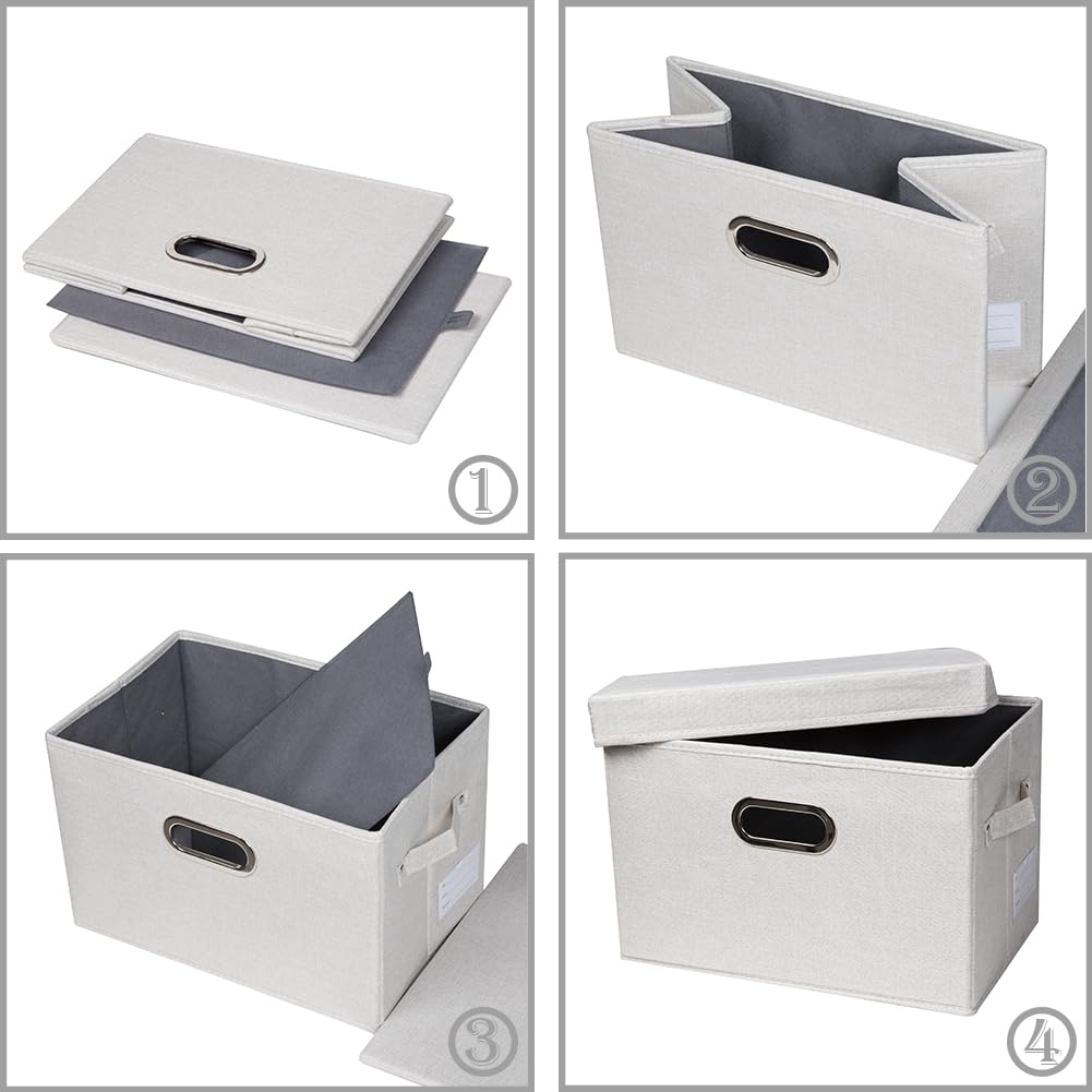 Collapsible Storage Bin with Lid [5 (5 Count)