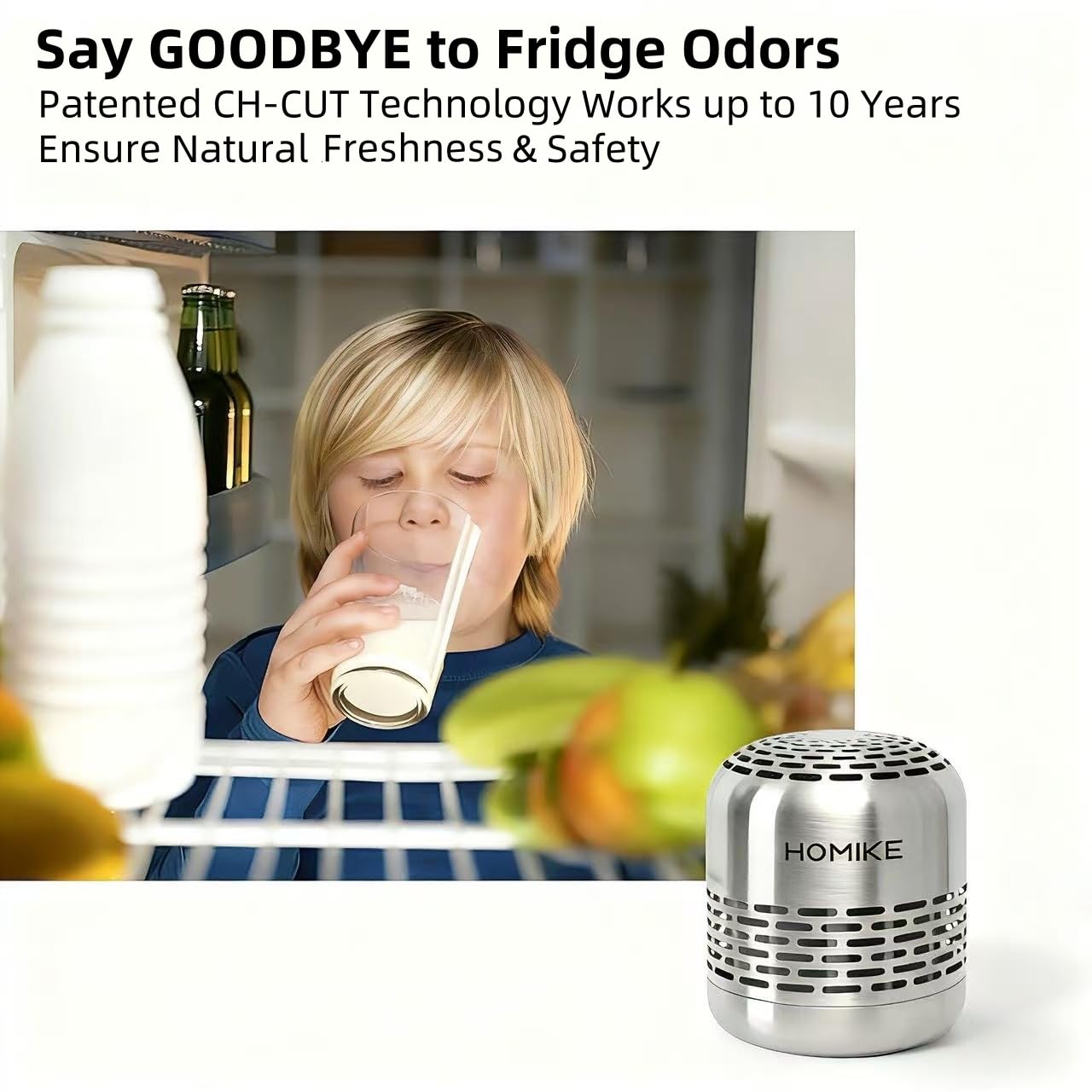 Refrigerator Deodorizer