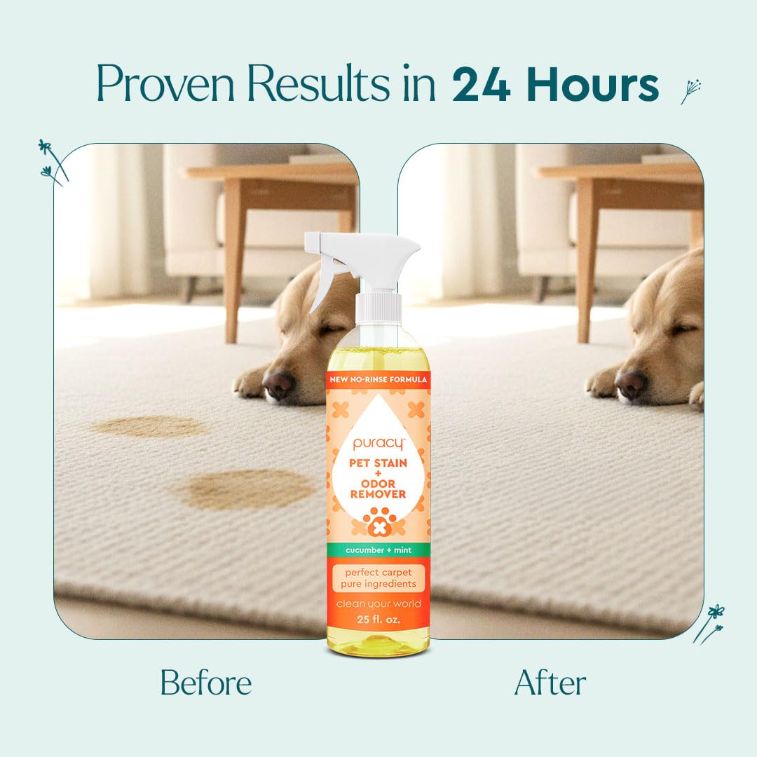 Pet Stain and Odor Remover (48 Fl Oz)