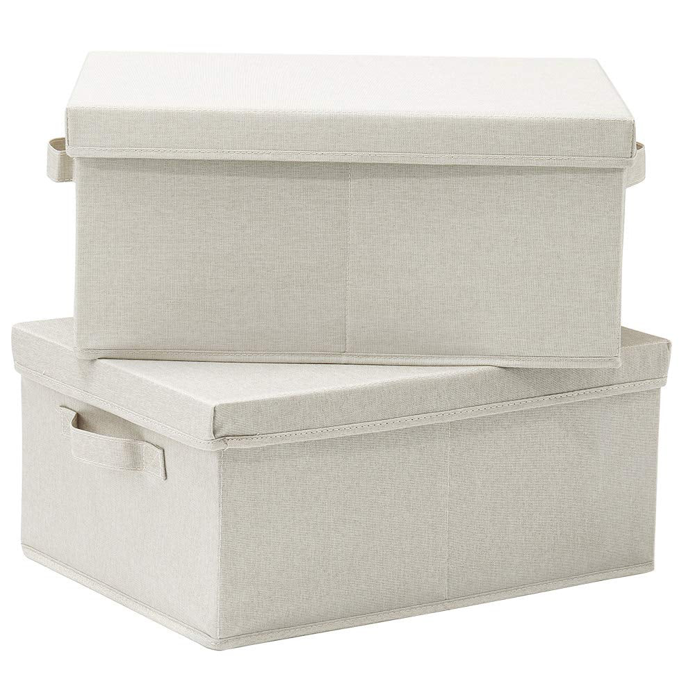 Foldable Storage Bins with Lids (2 Count)