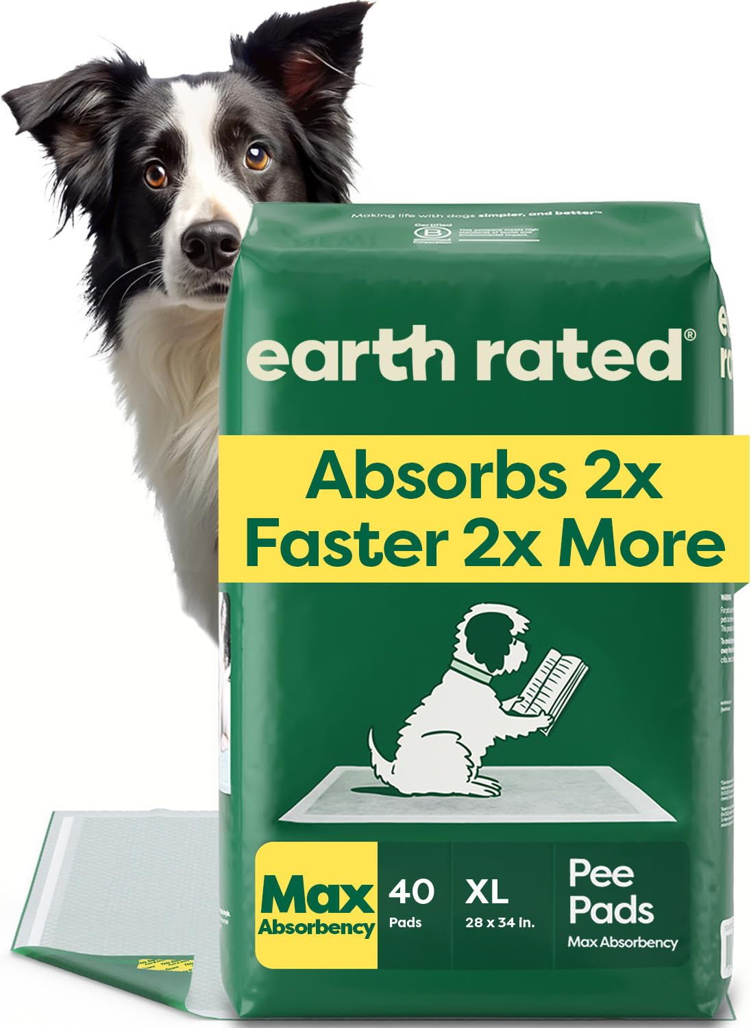 40 Puppy Pads (40 Count)