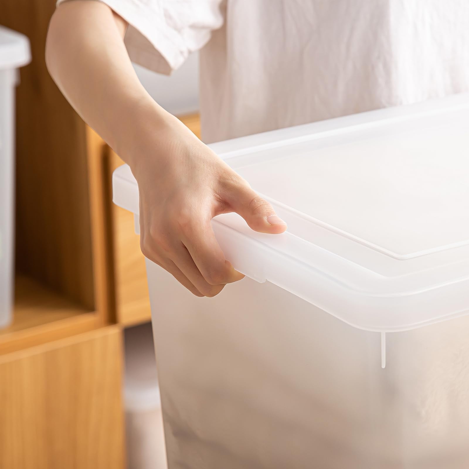 Stackable Plastic Storage Bins with Lids