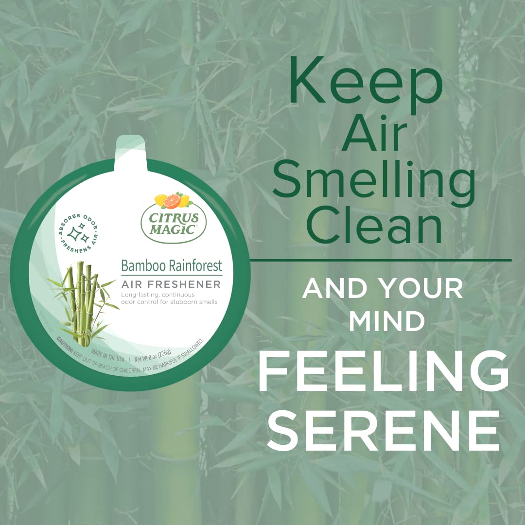 Solid Air Fresheners (24 Ounce)