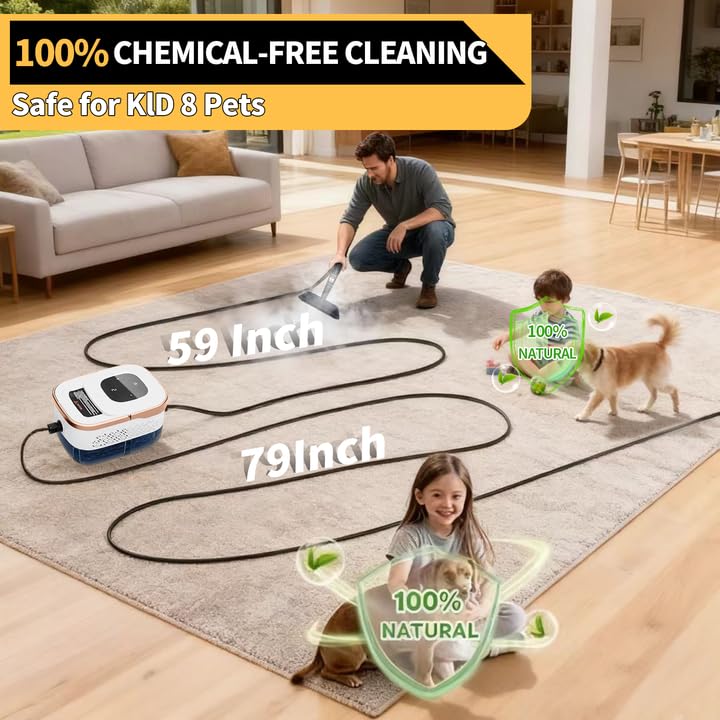 Steam Cleaner