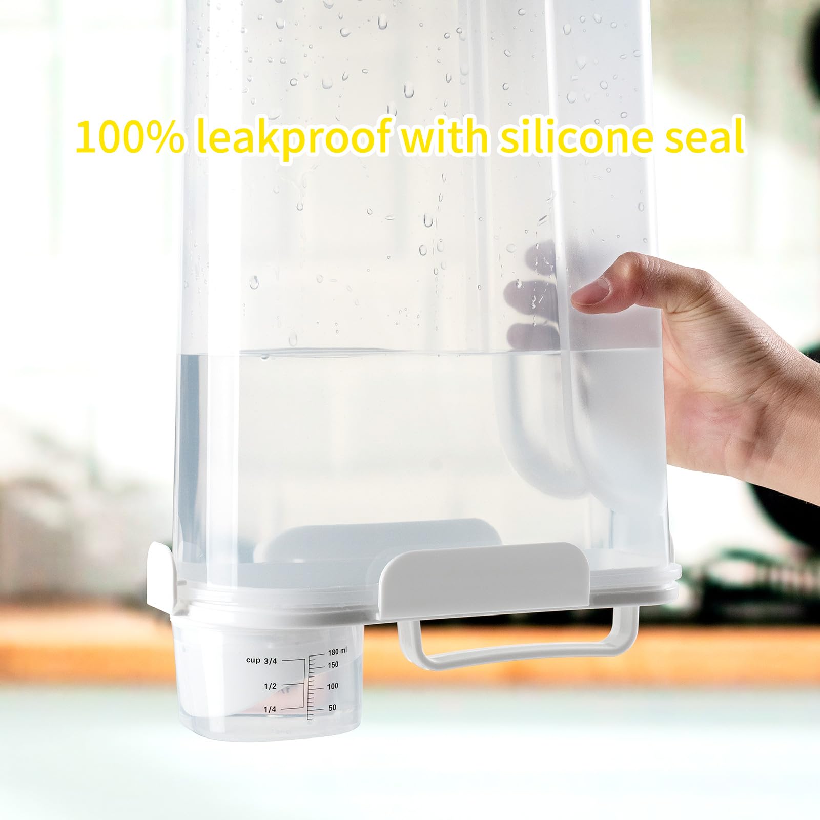 Rice Container