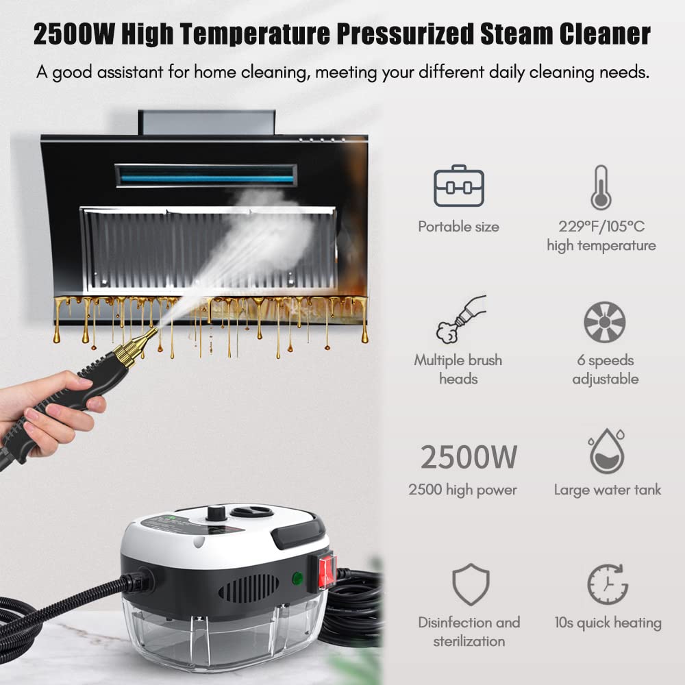 Portable Handheld Steam Cleaner