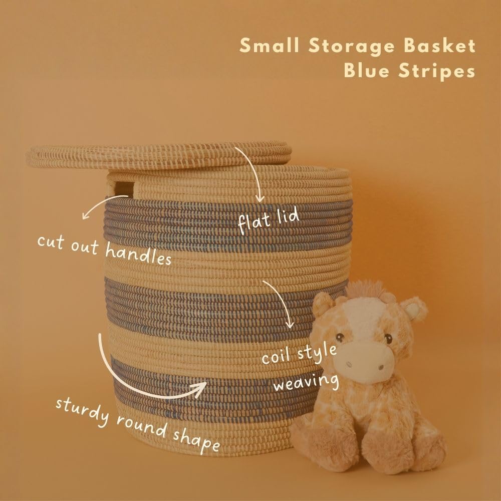 Small Blue Toy Storage Bin with Lid