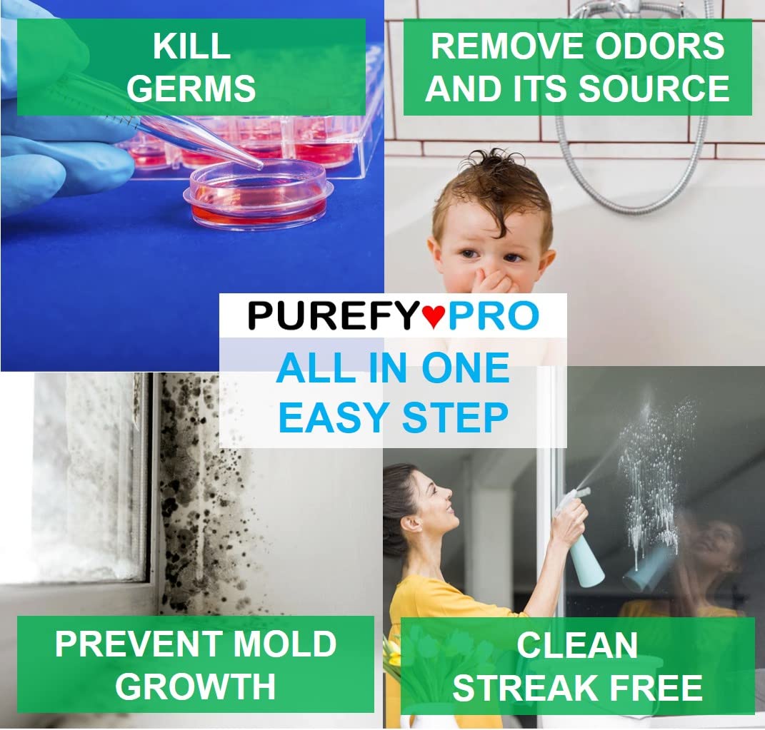 pro Disinfectant Spray (10.2 Fl Oz)