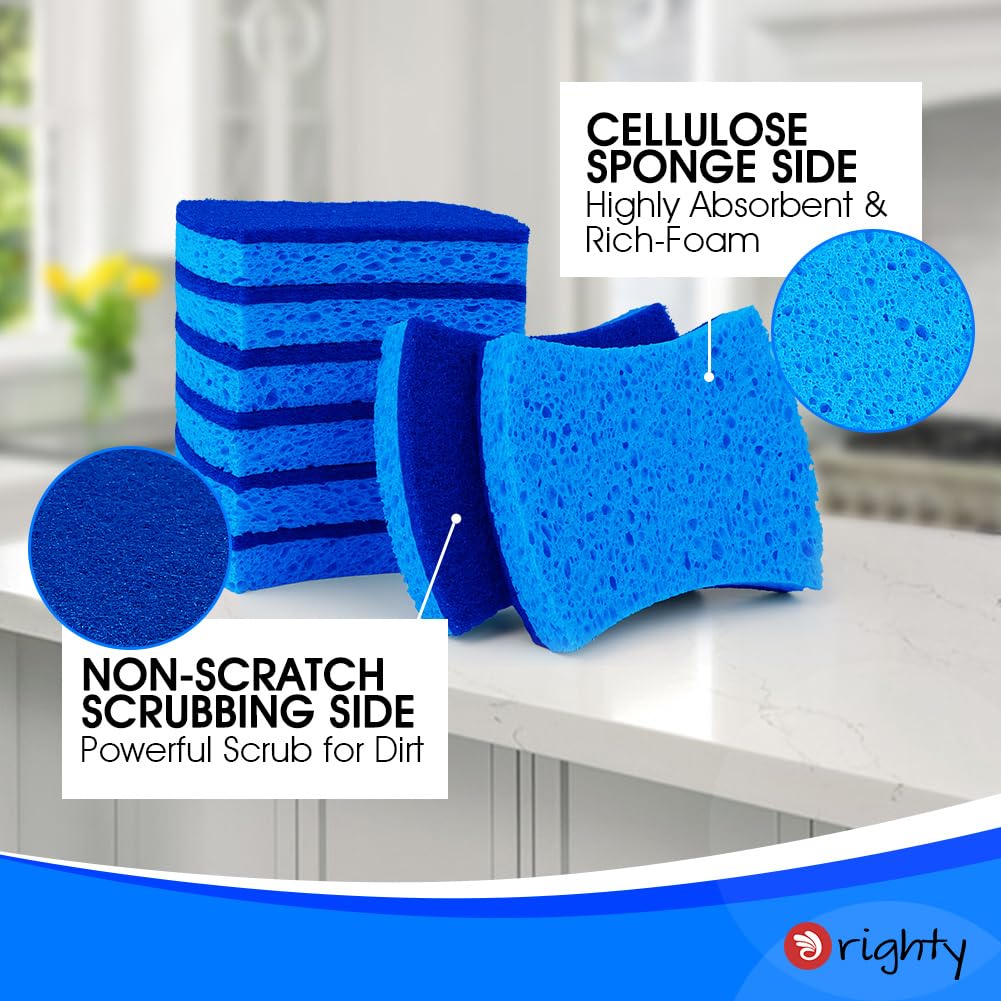 Non Scratch Scrub Sponges (24 Count) - ModHome Supplies