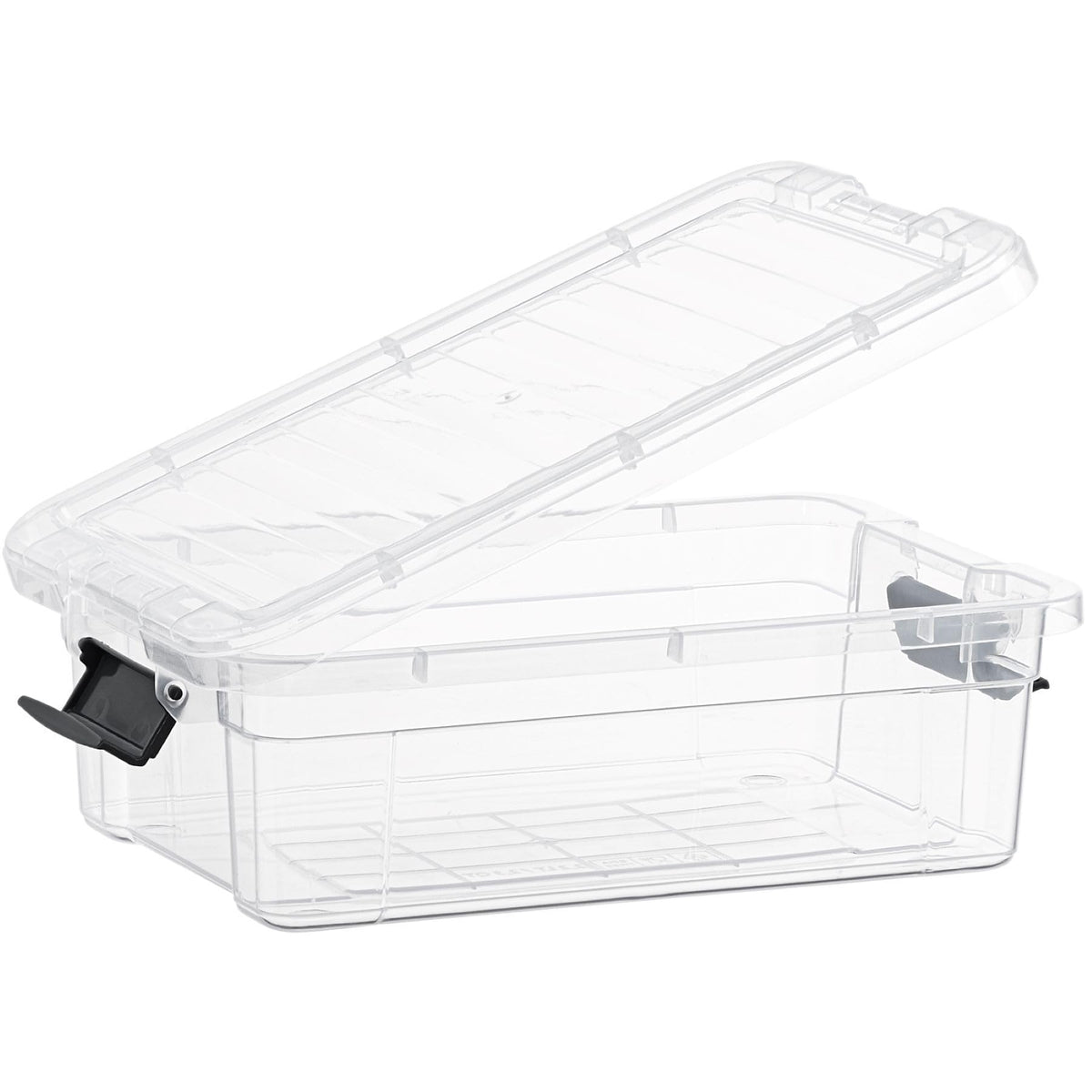 Clear Storage Bins with Lids (2 Count)
