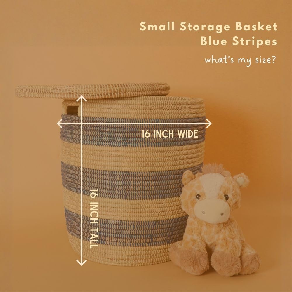 Small Blue Toy Storage Bin with Lid