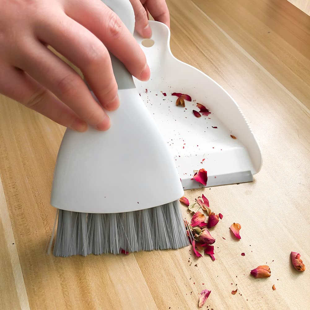 Small Hand Dust Pan and Brush