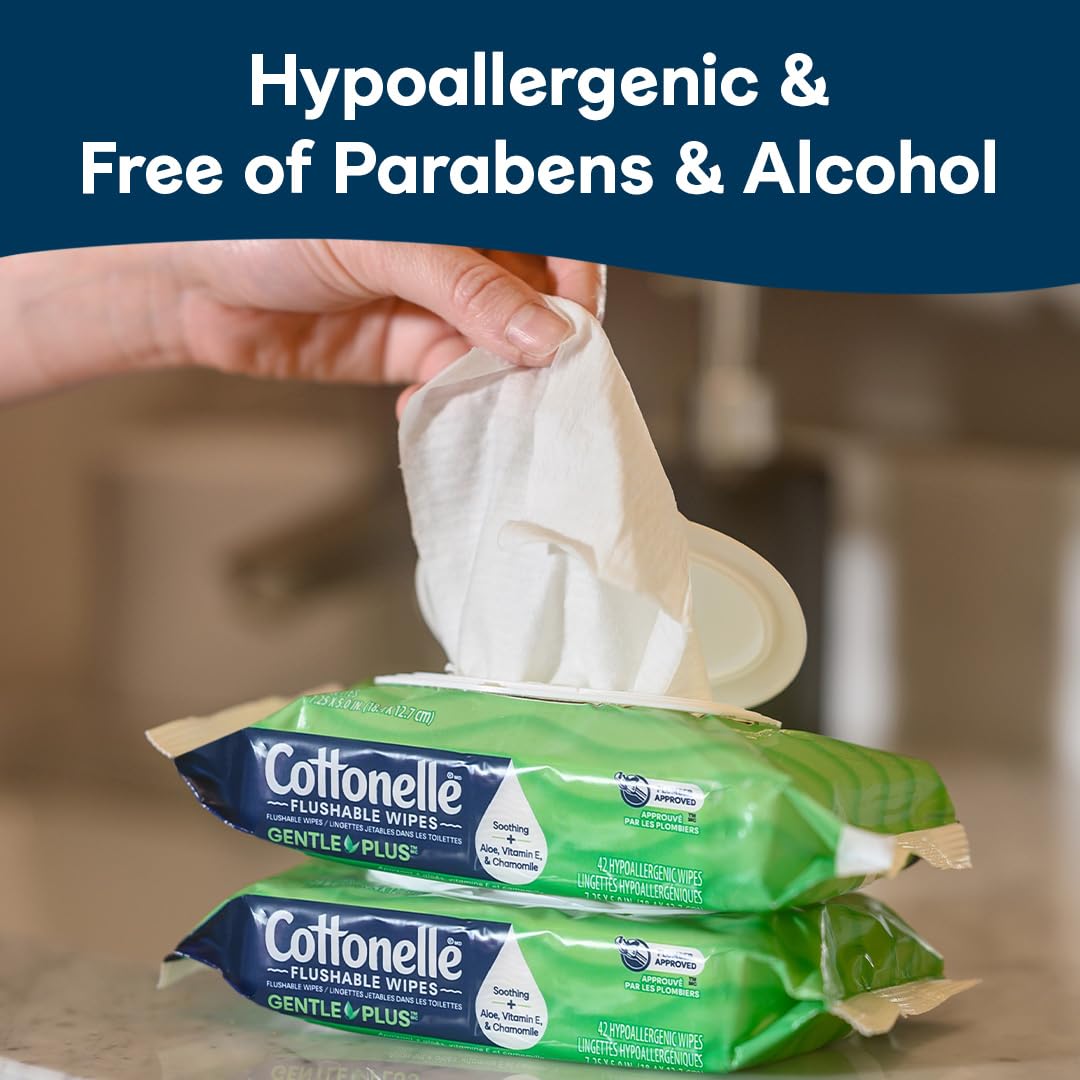 GentlePlus Flushable Wet Wipes with Aloe & Vitamin E (252 Count)