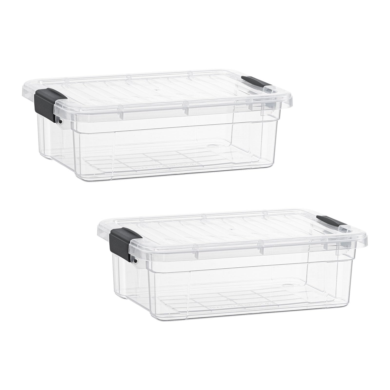 Clear Storage Bins with Lids (2 Count)