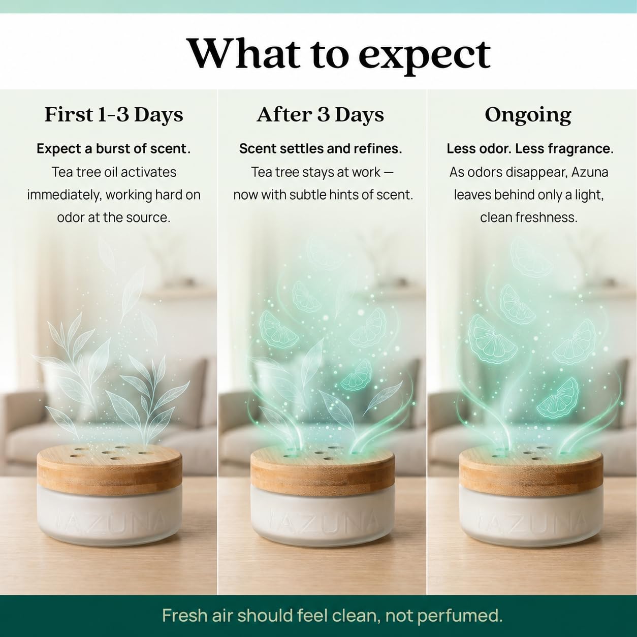 Home Odor Eliminator for Strong Odor