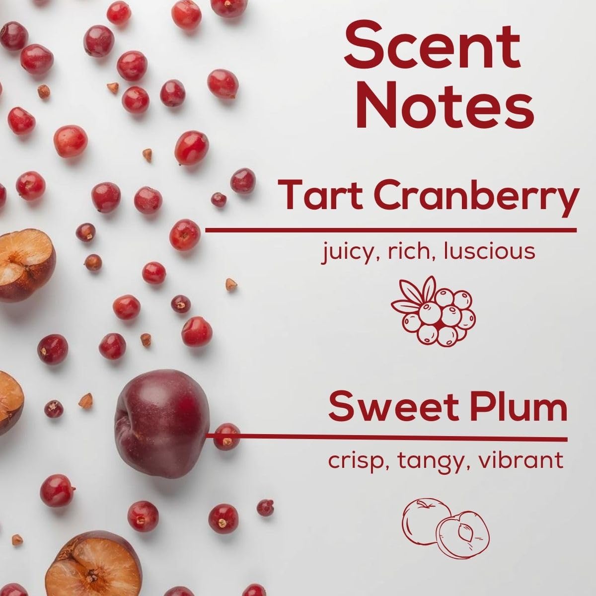 Cranberry Plum Plug in Air Freshener (2.72 Fl Oz)