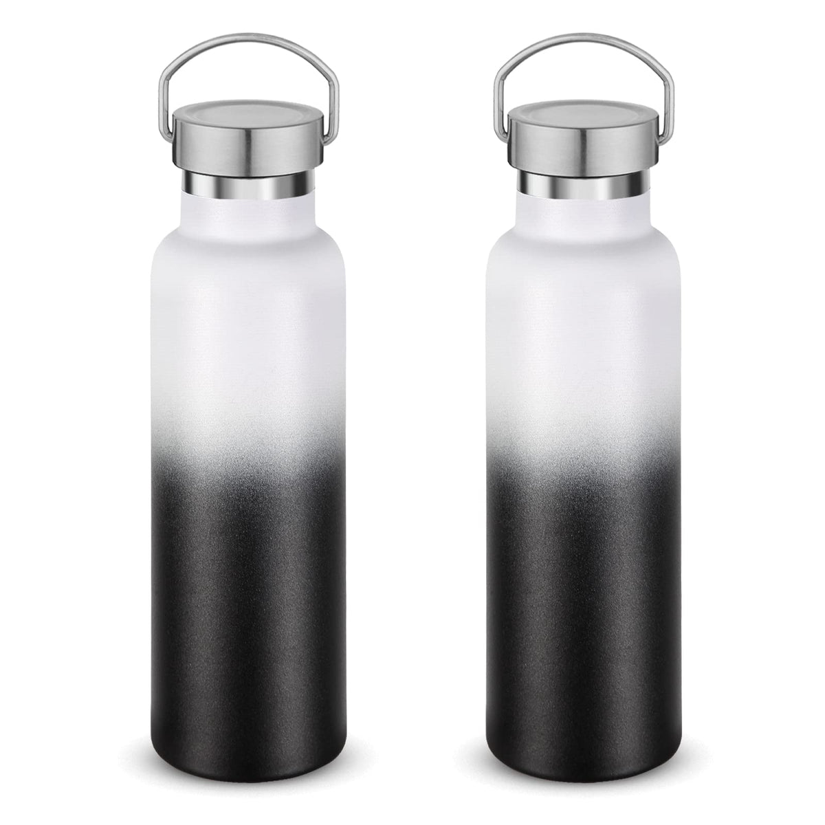 20 oz Insulated Water Bottles Bulk 2 Pack (2 Count)