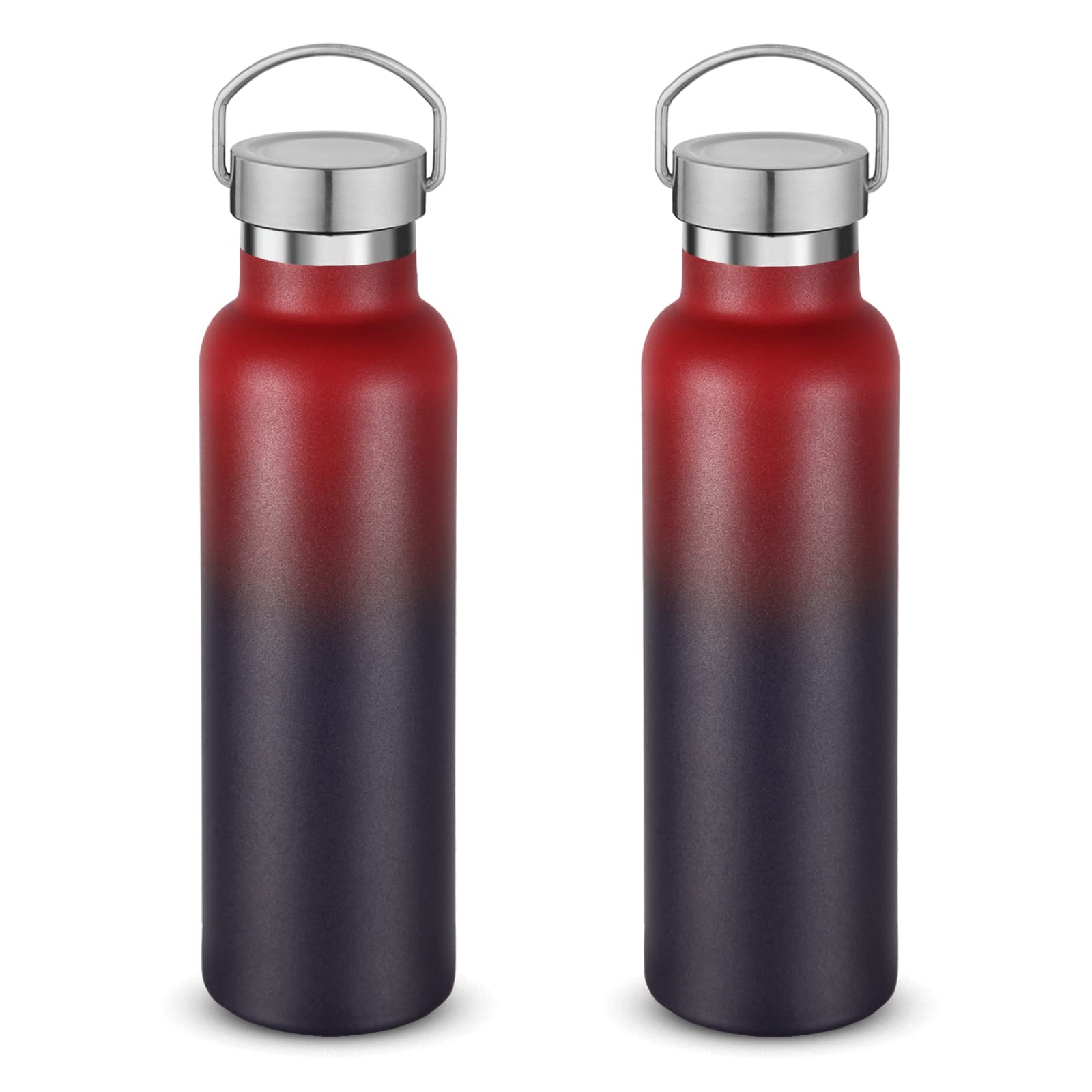 20 oz Insulated Water Bottles Bulk 2 Pack (2 Count)