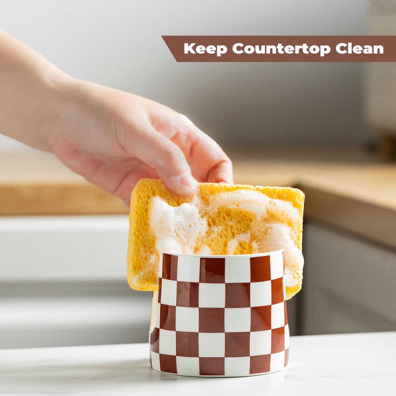 Sponge Holder for Kitchen Sink