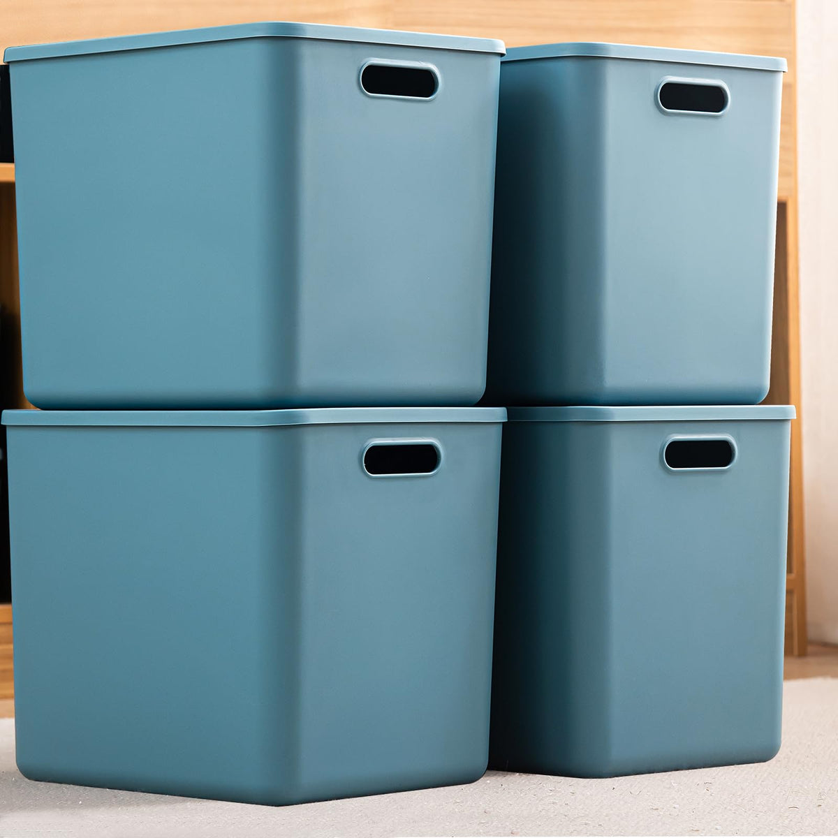 Plastic Storage Bins with lids (4 Count)