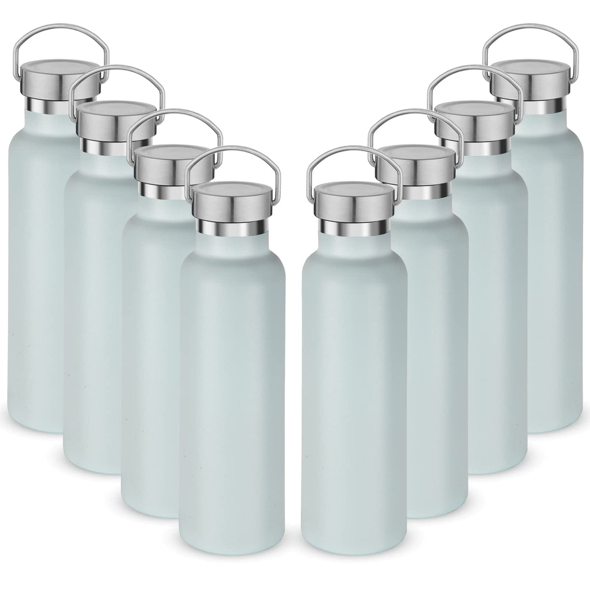 20 oz Insulated Water Bottles (8 Count)