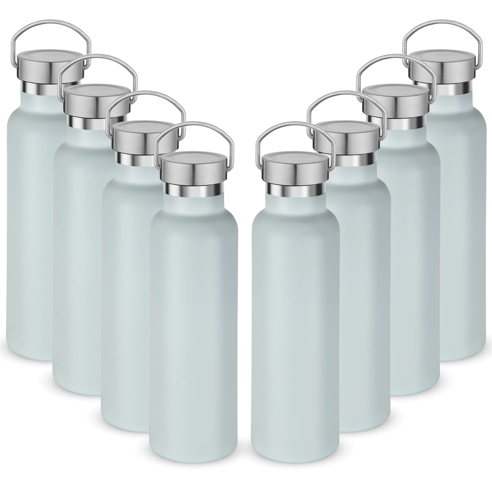 20 oz Insulated Water Bottles (8 Count)