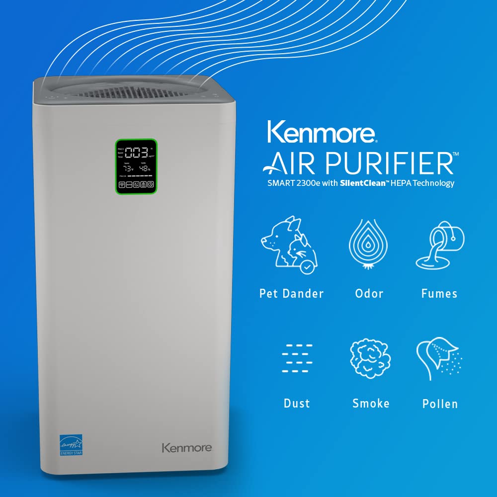 Air Purifier with H13 True HEPA Filter