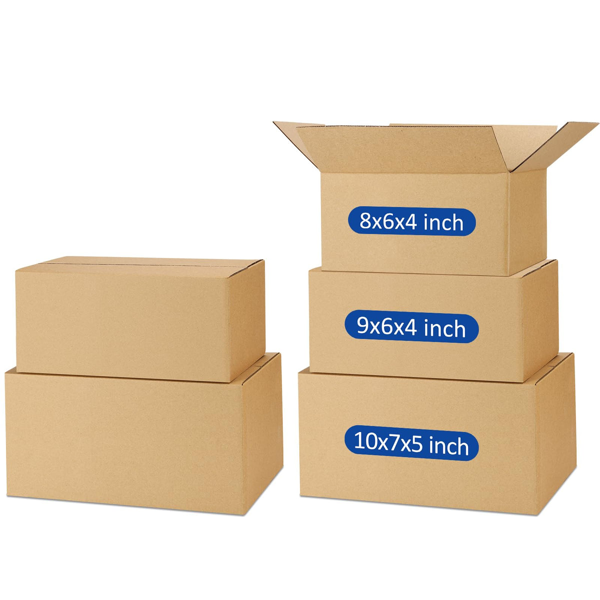 Assorted Sizes (45 Count)