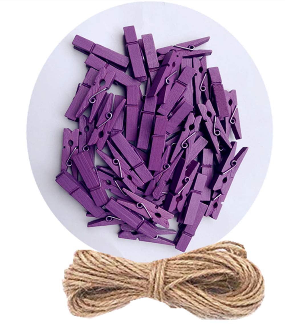 50 Piece Small Wood Clips Mini Clothespins with Spring Jute Twine Durable Wall Peg Pin for Craft (50 Count)