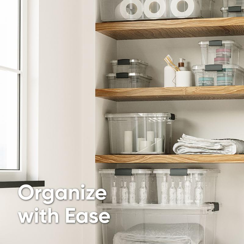 Clear Storage Bins with Lids (2 Count)
