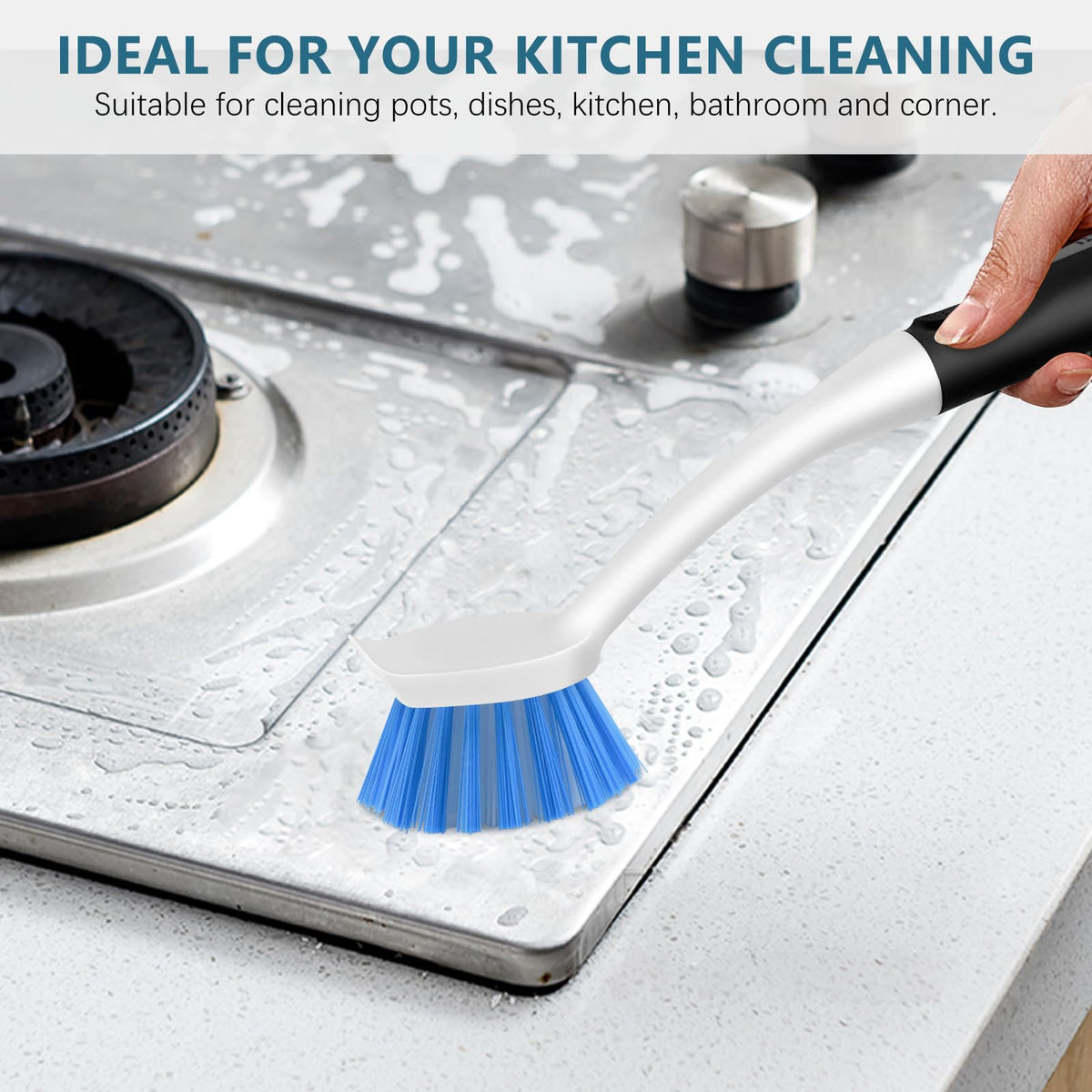 3 Pack Dish Brush Set (3 Count)