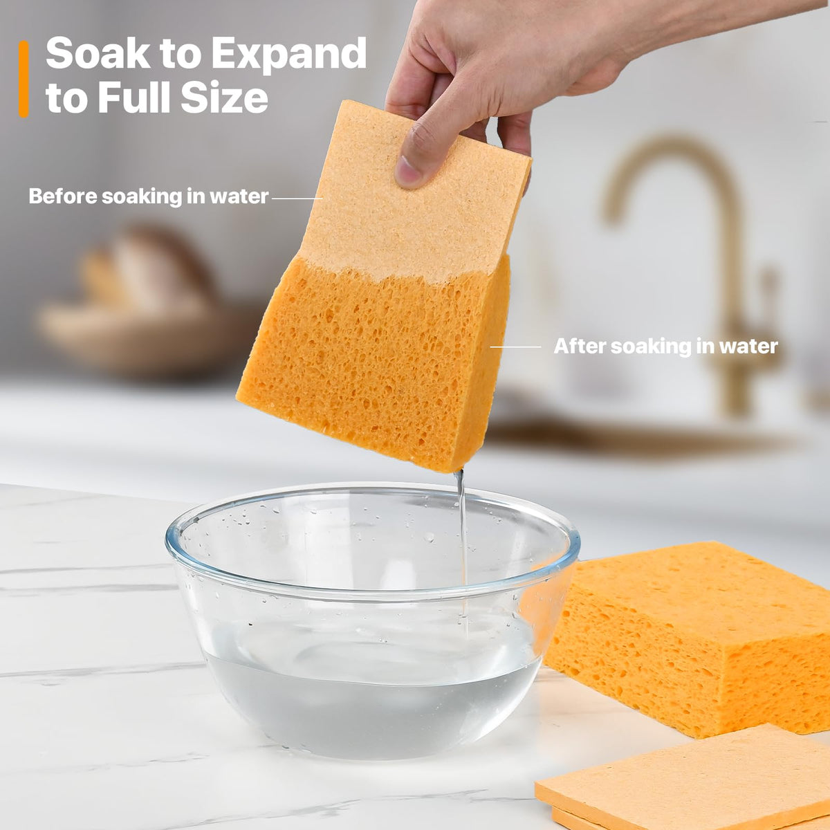 Large Natural Cellulose Sponge (2 Count)
