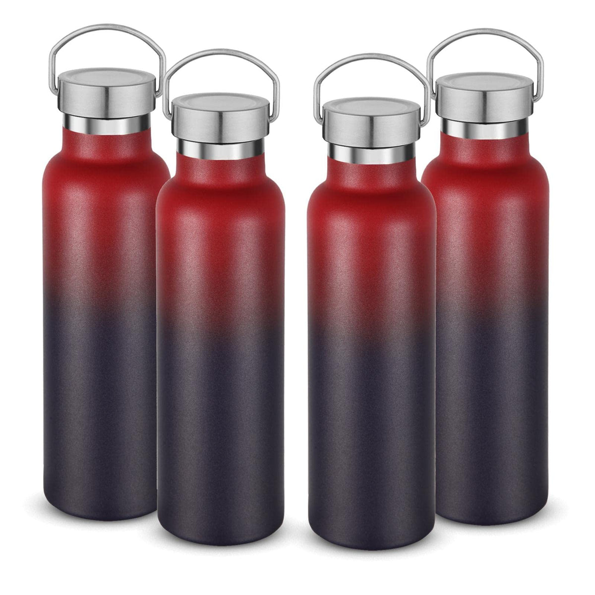 20 oz Insulated Water Bottles Bulk 4 Pack (4 Count)