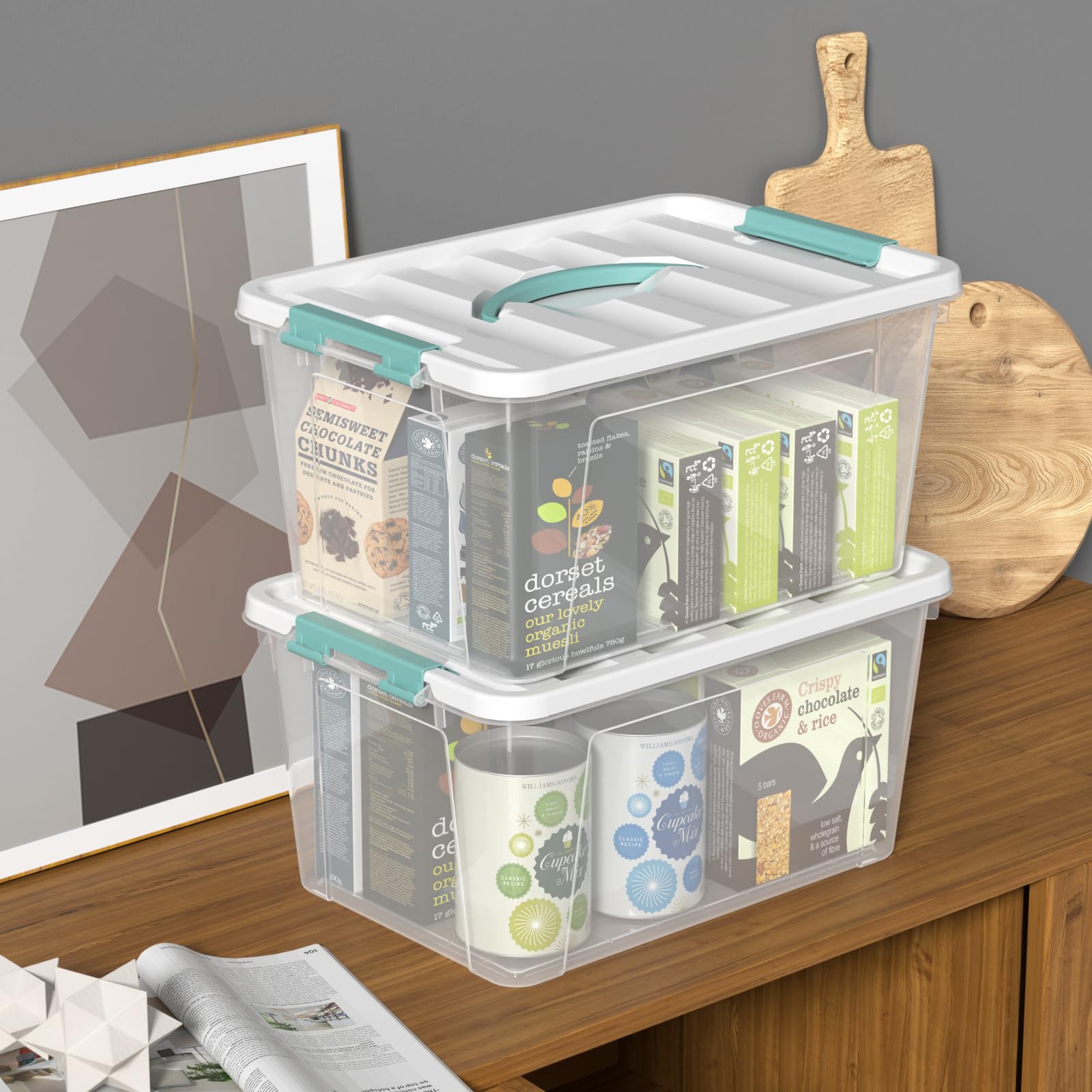 6 Pack Clear Storage Box (6 Count)