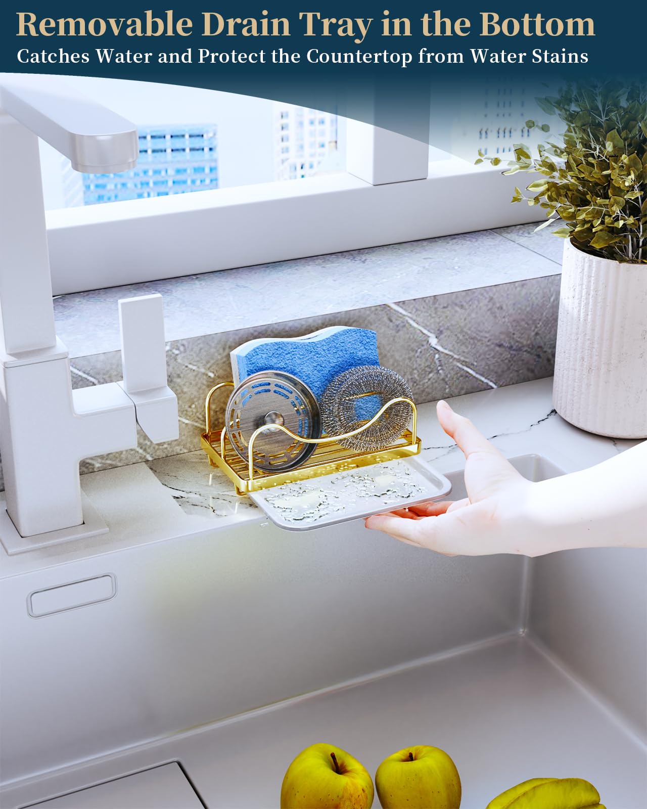 Sponge Holder for Kitchen Sink