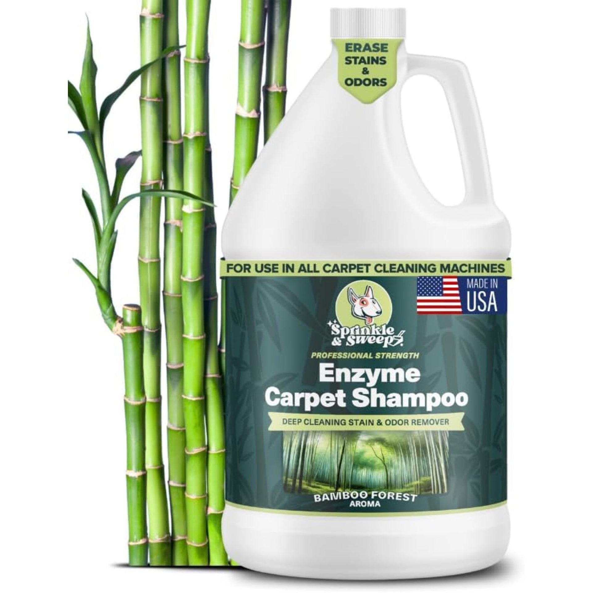 Enzyme Carpet Shampoo - ModHome Supplies