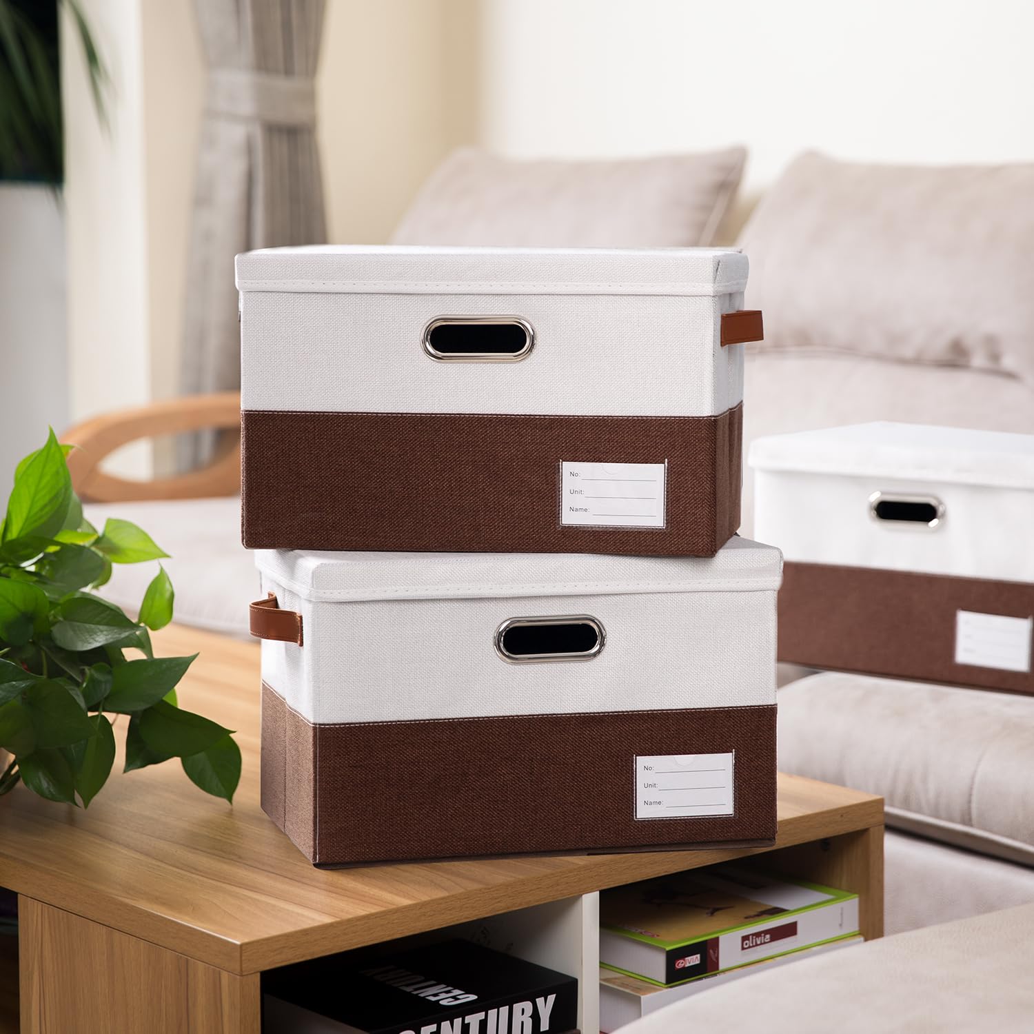 Foldable Storage Bins with Lids [3 (3 Count)