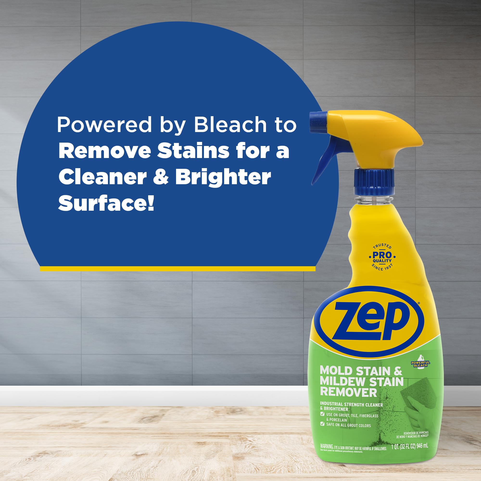 Mold Stain and Mildew Stain Remover (128 Fl Oz)