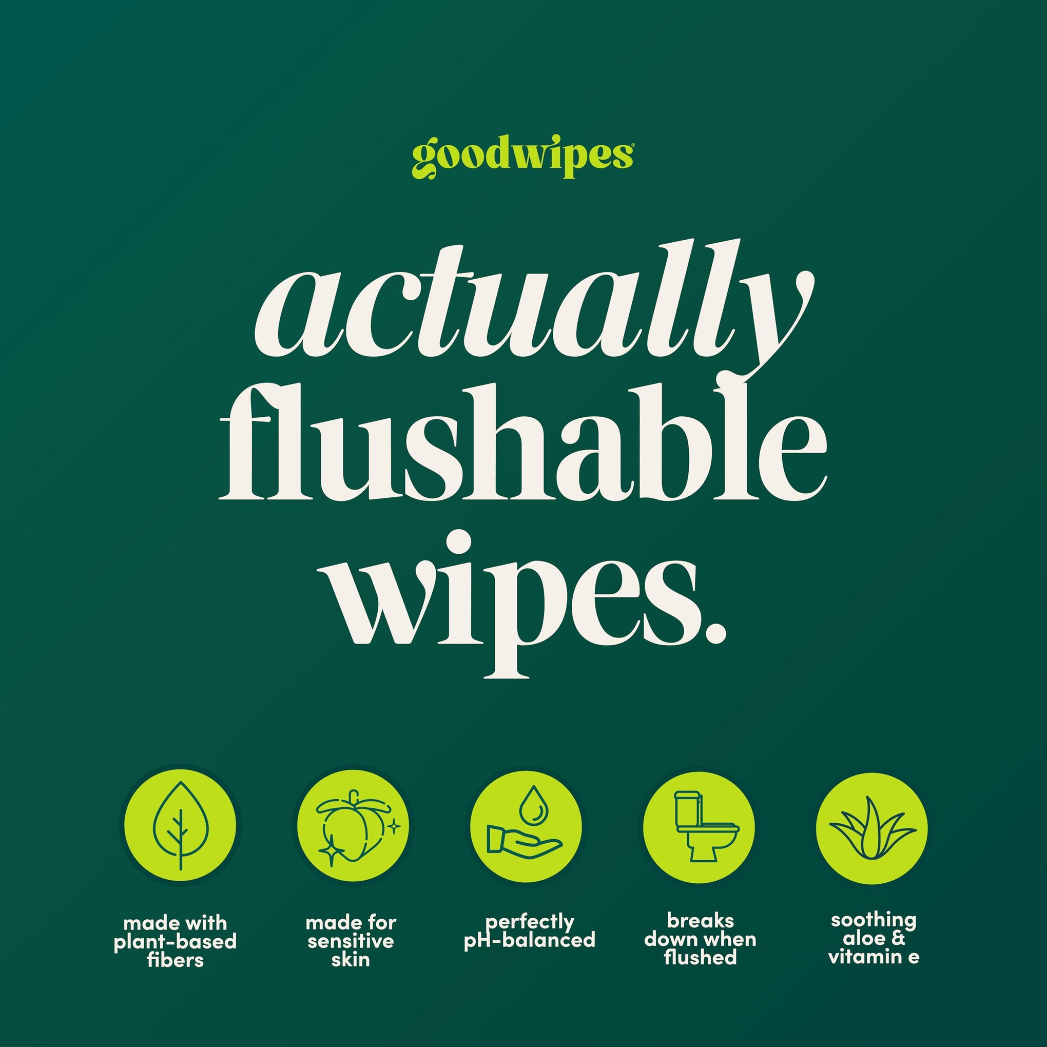Flushable Wipes for Women (32 Count)